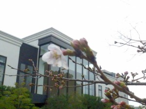 20140320