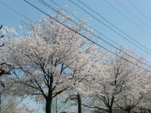 20150328-1